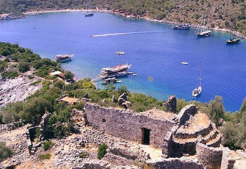Gemile Koyu Yorumlar