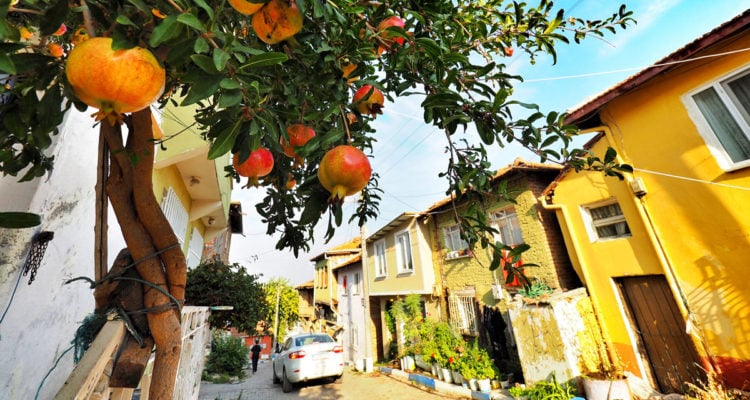 Gölyazı Sokakları ve Tarihi Taş evler 