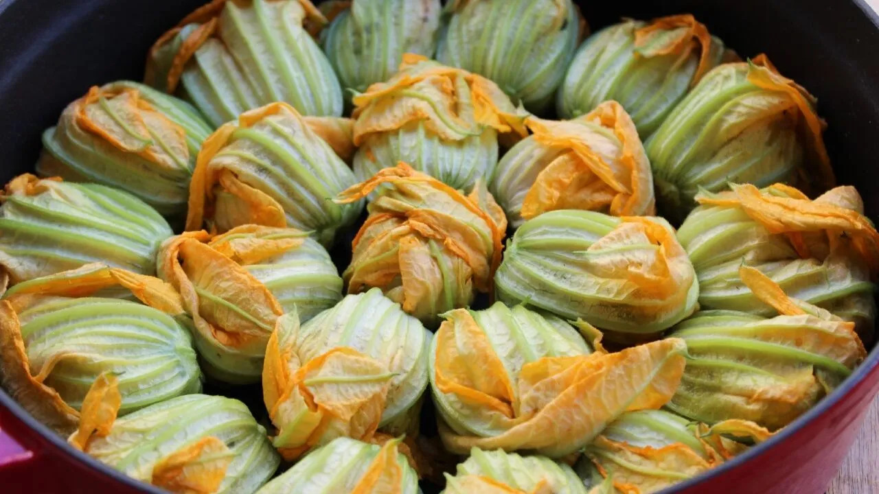 Kabak Çiçeği Dolması